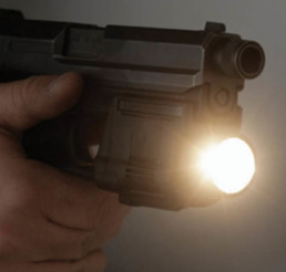 Gun Light